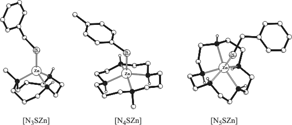 zinc thiolate complexes