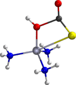 Transition State for COS Fixation by Trisammine-Zinc-Hydroxide