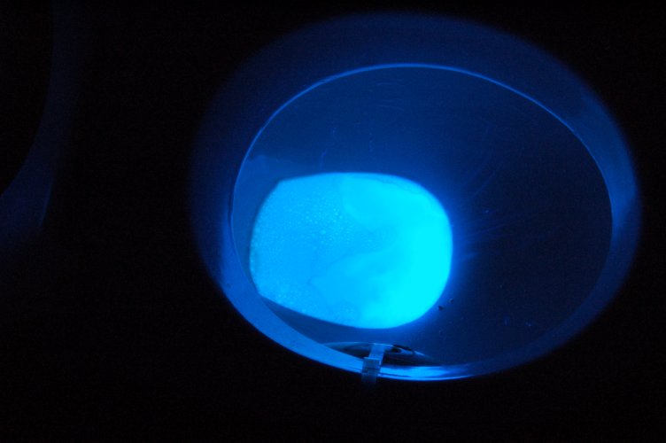 Lichtblitze aus Hypochklorit und Luminol