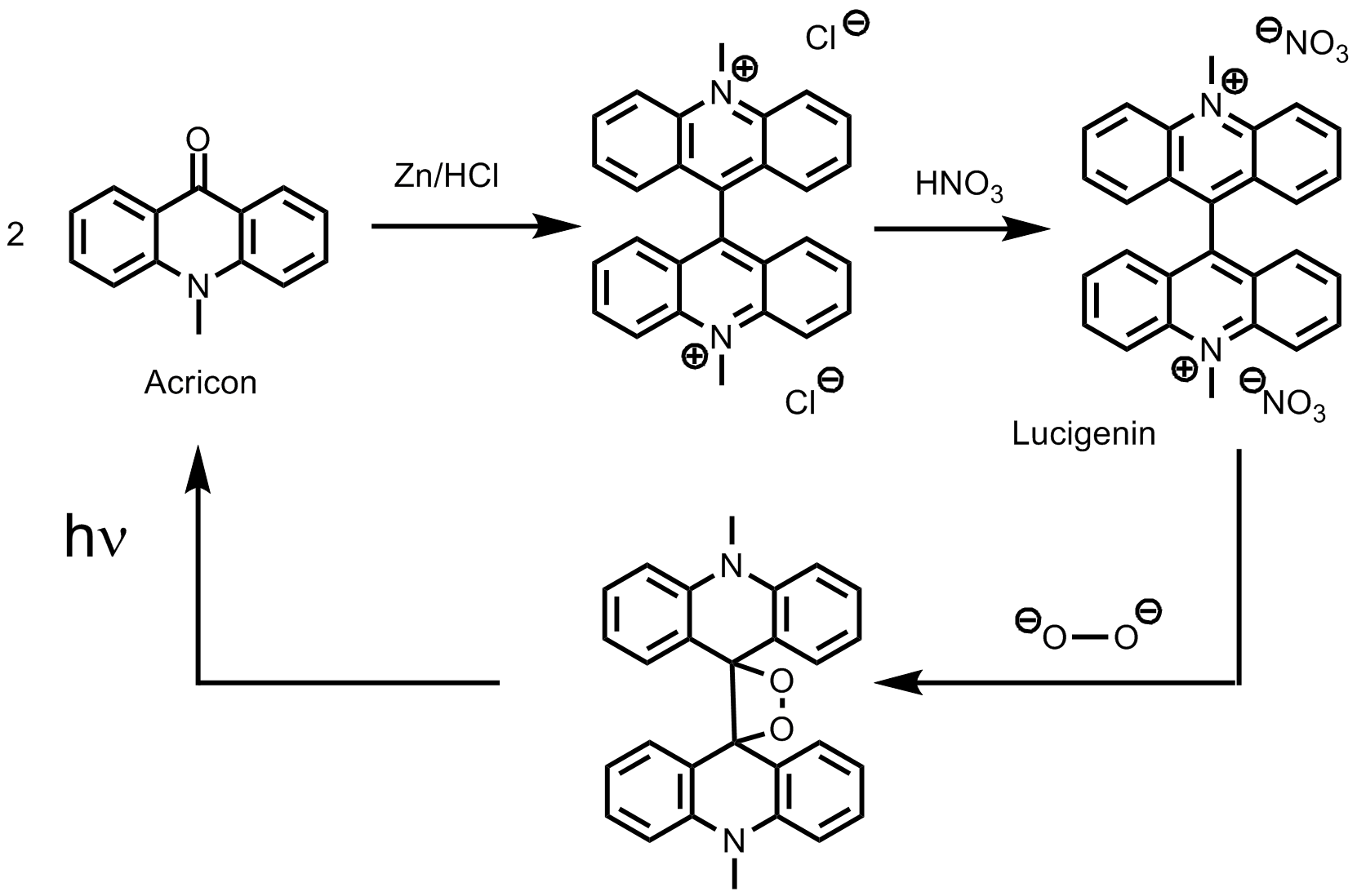 Herstellung und Chemilumineszenz von Lucigenin