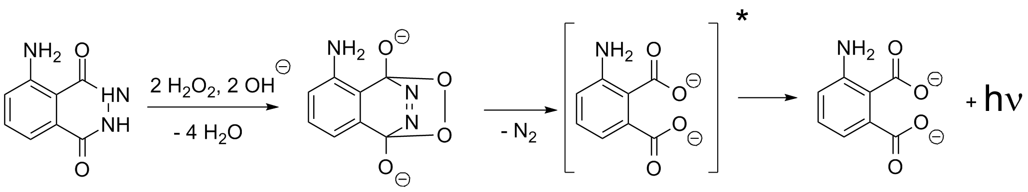 Mechanismus der Chemilumineszenz von Luminol